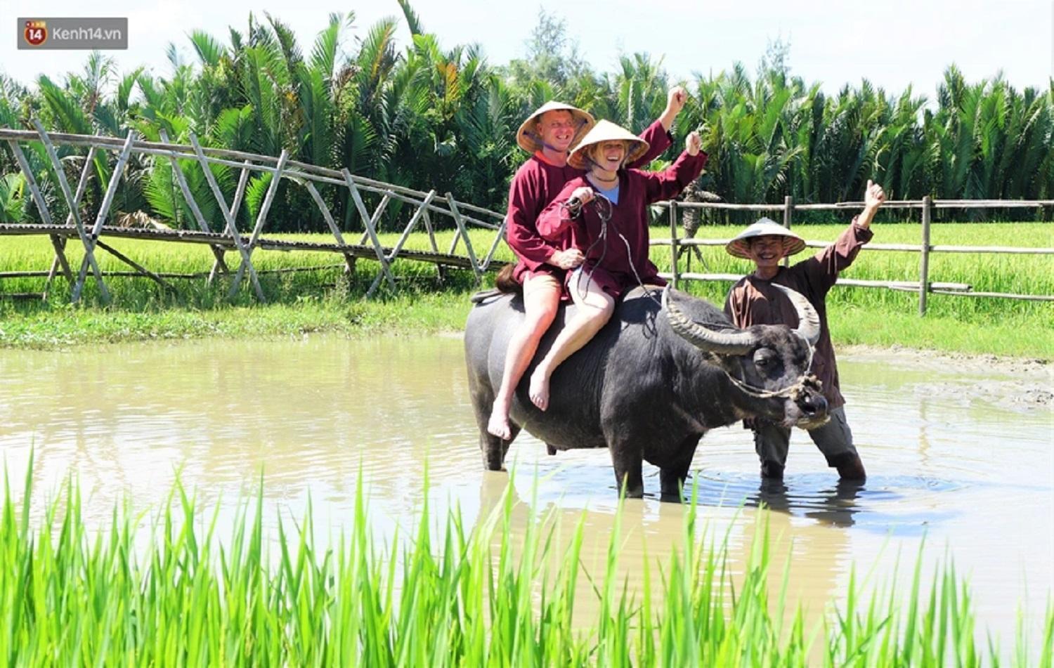 Tam Coc Sunshine Hostel Vu Lam Ngoại thất bức ảnh